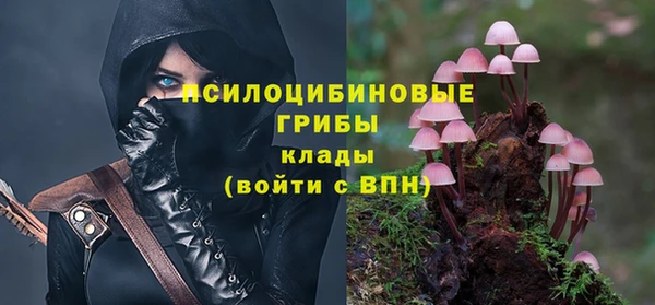 молекула духа Богородицк