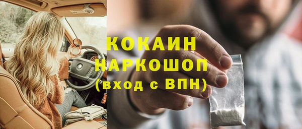 молекула духа Богородицк